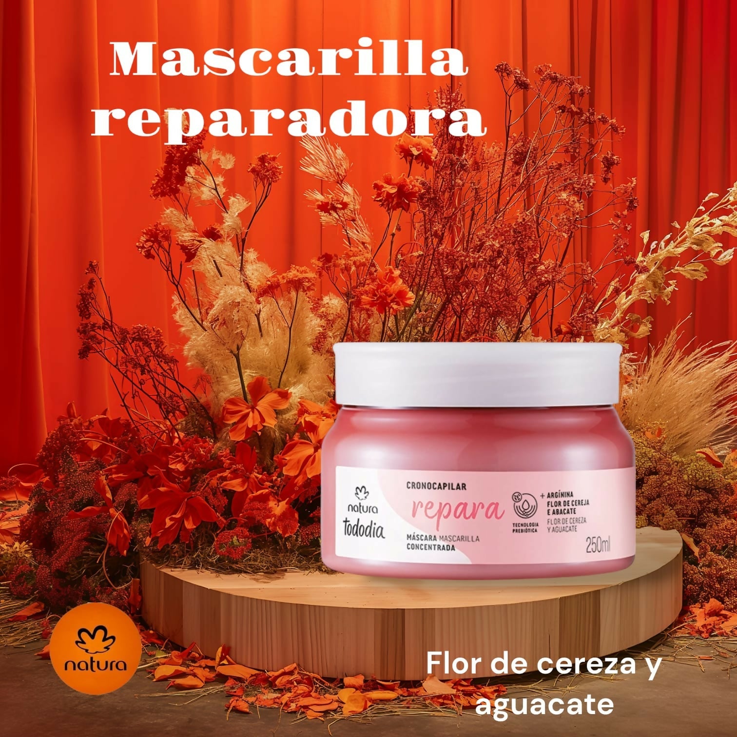 WhatsApp Image 2024-10-10 at 7.22.59 PM